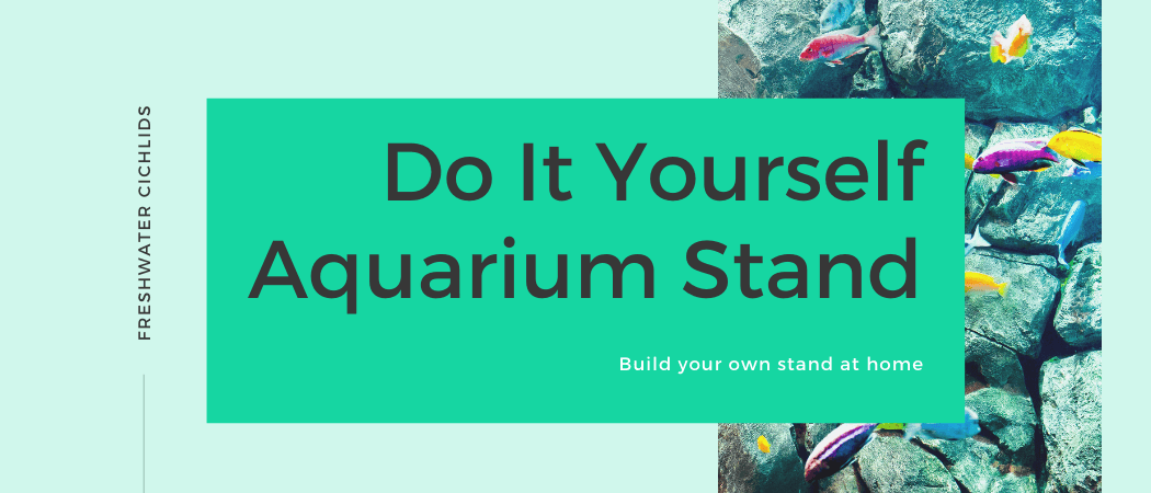 do it yourself aquarium stand